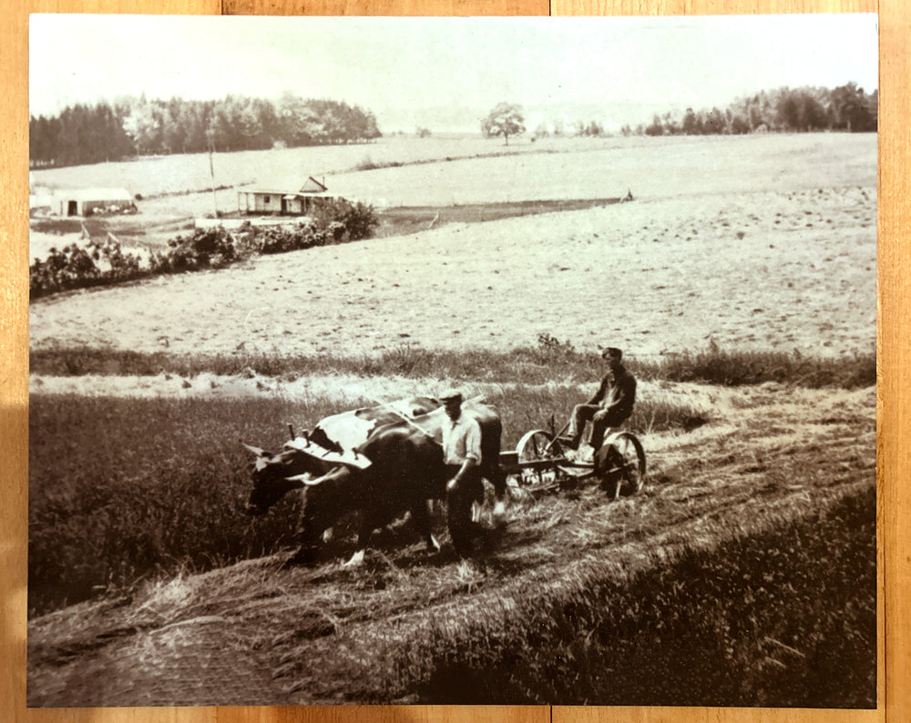 Farmer with Cow